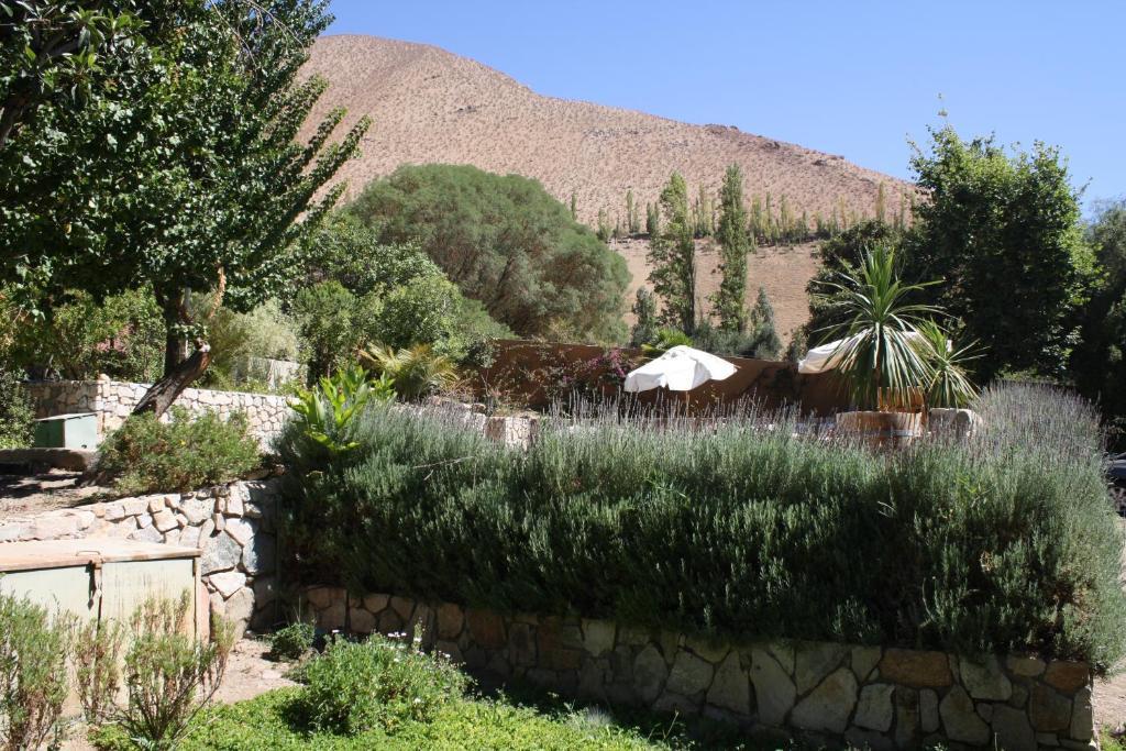 Hotel El Milagro Pisco Elqui Exterior foto